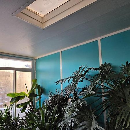YYC 3 Bedroom Detached House מראה חיצוני תמונה